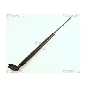 436019 TRISCAN
