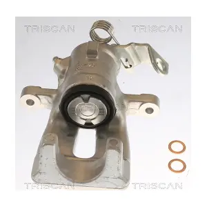 8175 24202 TRISCAN