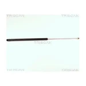 8710 16213 TRISCAN