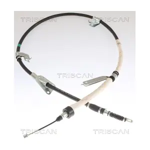21711 TRISCAN