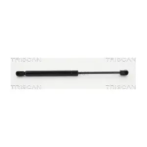 8710 25258 TRISCAN