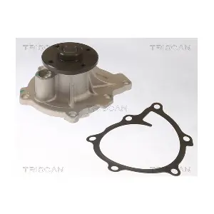 860042021 TRISCAN