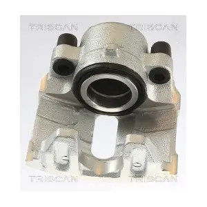 817527101 TRISCAN