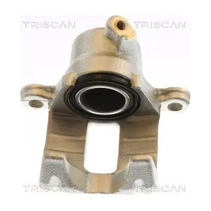 8175 13225 TRISCAN