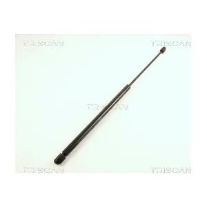 8710 38202 TRISCAN