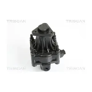 8515 29608 TRISCAN