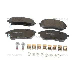 811010616 TRISCAN