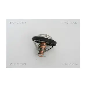 862021791 TRISCAN