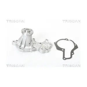 8600 69005 TRISCAN