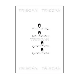 8105 291449 TRISCAN