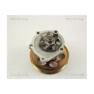 860013010 TRISCAN