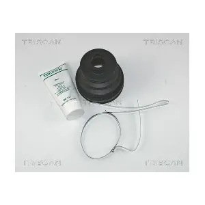 8540 13806 TRISCAN