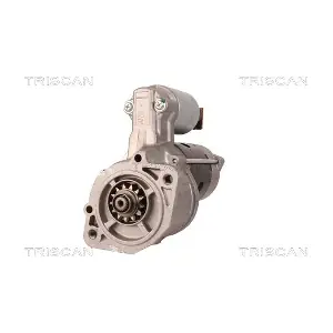 8305 17004 TRISCAN