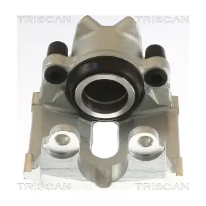 817511104 TRISCAN