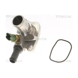 8620 29388 TRISCAN