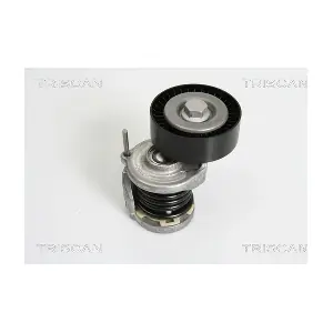 8641 293021 TRISCAN