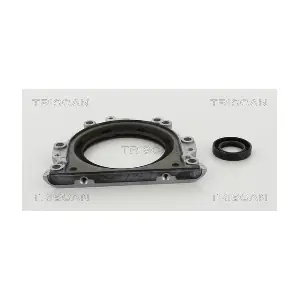 8550 29009 TRISCAN