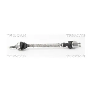 8540 25676 TRISCAN