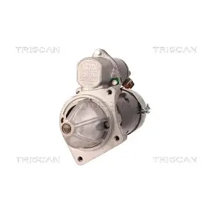 8305 10024 TRISCAN