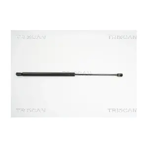 8710 23213 TRISCAN