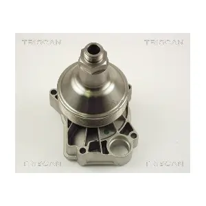 860011010 TRISCAN