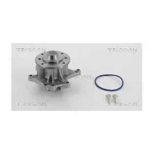 860013040 TRISCAN
