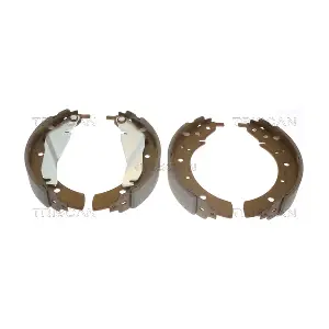 810011432 TRISCAN