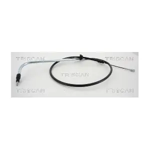 8140.161178 TRISCAN