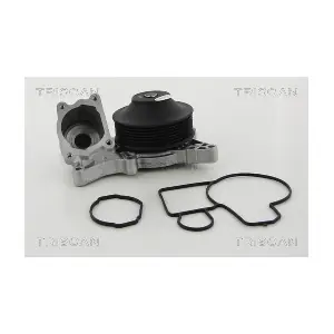 860011967 TRISCAN