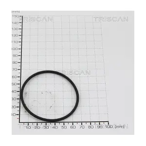 8813 9937 TRISCAN
