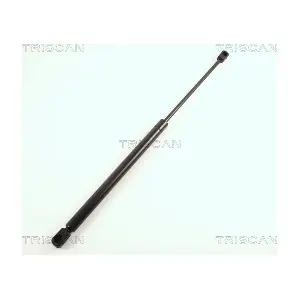 8710 65205 TRISCAN