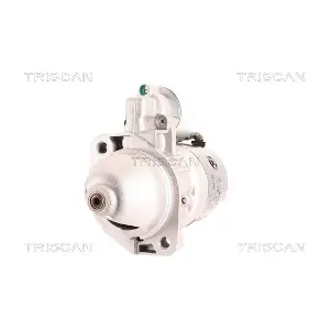 8305 10029 TRISCAN