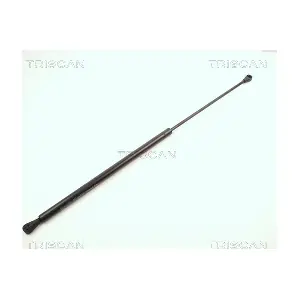 8710 2504 TRISCAN
