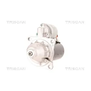 8305 29074 TRISCAN