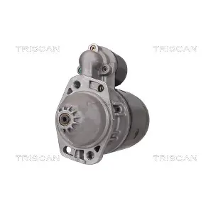 8305 10088 TRISCAN