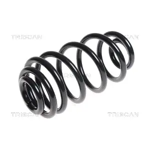 8750 24163 TRISCAN