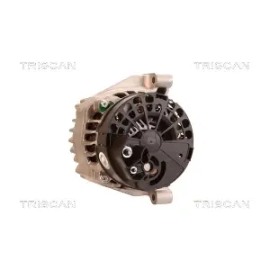 8310 29052 TRISCAN