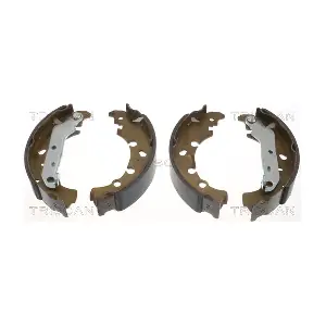 810016006 TRISCAN
