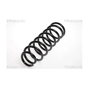 8750 13120 TRISCAN
