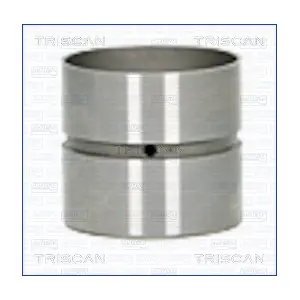 80-25007 TRISCAN