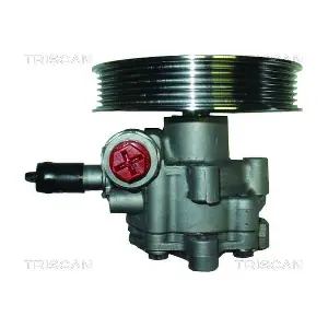 8515 29642 TRISCAN