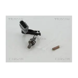 884514108 TRISCAN