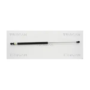 8710 38230 TRISCAN
