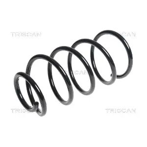 875027101 TRISCAN