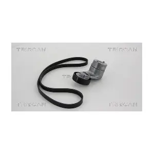 8642 24003 TRISCAN