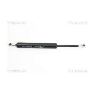 8710 23214 TRISCAN