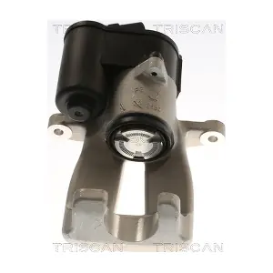 8175 292003 TRISCAN