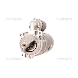 8305 10081 TRISCAN