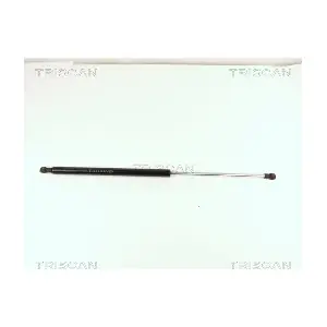 8710 15213 TRISCAN