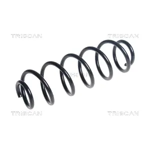 6163544 TRISCAN